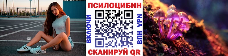 Купить где  Фокино  Псилоцибиновые грибы прущие грибы 