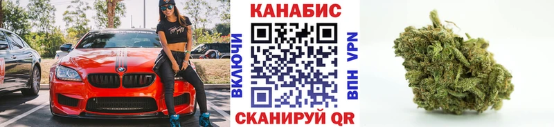 Купить где  Фокино  Каннабис VHQ 